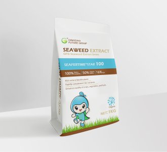 SeaferTime® Star 100